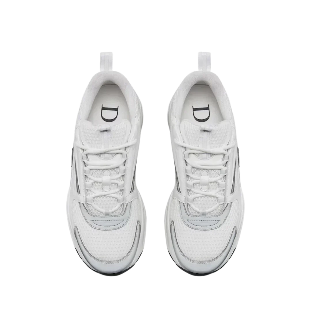 Dior B22 'White Grey'